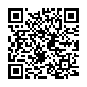 QR Pukka Drei Fenchel Tee Bio Beutel 20 Stück buy online