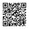 QR Meneau Sirup Himbeer 500ml buy online