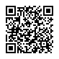 QR Gastrock Faltstock 85-95cm 4f Alu Schwarz Derby buy online