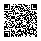 QR Skinnies Web Shirt Round Top Grösse 2-7 Weiss Langarm buy online