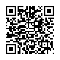 QR Vinx fruit fly trap with adhesive strips buy online