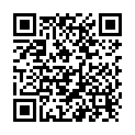 QR Spillmann Artist Kabuki Brush buy online
