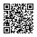 QR Dr. Hauschka Powder Brush buy online