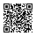 QR Dr. Hauschka Foundation Brush (neu) buy online