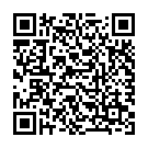 QR Beauterra Flüssigseife Marseille Minze-Zit 500ml buy online