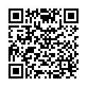 QR Vitility walking stick anthracite buy online