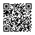 QR Bort 100 Ad Kkl2 I Offen Kurz Nat Trikot 1 Paar buy online