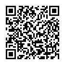 QR Bort 100 Ad Kkl2 I Gesch Norm Schw Trikot 1 Paar buy online