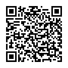 QR Bort 100 Ad Kkl2 I Offen Kurz Schw Trikot 1 Paar buy online