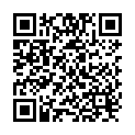 QR Raid Insekten-Spray 400ml buy online