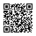 QR Raid Ameisen-Spray 400ml buy online