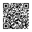 QR Raid Fliegen-Faenger Classic 4 Stück buy online