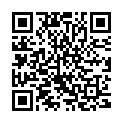 QR Sonett Scheuermilch Flasche 500ml buy online