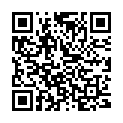 QR Mextra Superabsorbent 12.5x17.5cm 10 Stück buy online