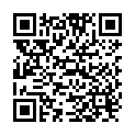 QR Holle Kamut Bio Beutel 500g buy online