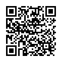 QR Holle Gourmet-Linsen Braun Bio Beutel 500g buy online
