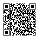 QR Epitact Physiostrap M 38-41cm buy online