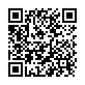 QR Aeroxon Fenster-Fliegenfallen Transparent 4 Stück buy online