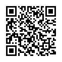 QR Sirocco Teebeutel Green Jasmine 20 Stück buy online
