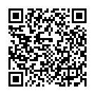 QR Vepocleaner Wischpflege Konzentrat Kanister 5L buy online