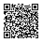 QR Medela Personalfit Flex Brusthauben L 27mm 2 Stück buy online