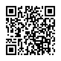 QR Oeco Swiss Haushaltpapier Rolle 4 Stück buy online