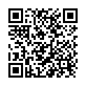 QR Difrax Soother Bag Gold buy online