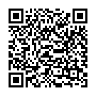 QR Tinti Malseife Mischdisplay 12 Stück (dfi) buy online