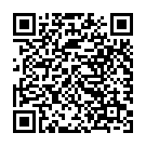 QR Skysocks Safari Reisestr 70 DEN 44/45 Haut 1 Paar buy online