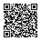 QR Allstar Pro Lantus/apidra/insuman Insulinpen Silb buy online
