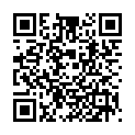 QR Livsane Universal Pflaster-Strips 20 Stück buy online