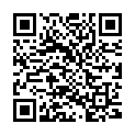 QR Perfetto Hg Insektizid Konzentrat 40ml buy online