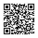 QR Diacosa Abfuellfl Pet Klar Glasreinig 500ml M Zers buy online