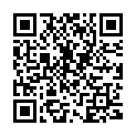 QR Labulit Wirlklar-New Flasche 1L buy online