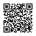 QR Labulit Wp-Rohrreiniger Flasche 1L buy online
