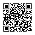 QR Philips infrared lamp Pr3110/00 buy online