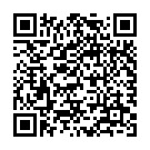 QR Cupper Grüner Tee Limette&ingwer Fairtr Bio 20 Stück buy online