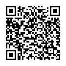 QR Sahag ice claw compact six-pointed made of stainless steel buy online