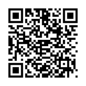 QR Viviflor Syltech Foam 50ml buy online