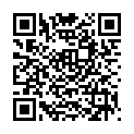 QR Schnitzer Bio Focaccia 220g buy online