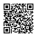 QR Inshape Biomed Powder Berry can 420g buy online