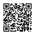 QR Cizetapress Cohesive Elastic Bandages H8 buy online