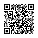 QR Cizetapress Cohesive Elastic Bandages H10 buy online
