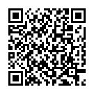 QR Staudt therapy sleeves ankle XL 1 pair buy online