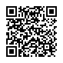 QR Dietz Rollator Fakto+ 8.3kg Grau 2 Stück buy online