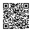 QR Staudt therapy sleeves shoulder L buy online