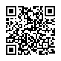 QR Jentschura cosmetic brush buy online