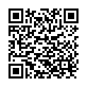 QR Jentschura body brush buy online