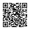 QR Jentschura facial brush buy online