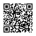 QR Willi Fox Stuhlfaenger 25 Stück buy online